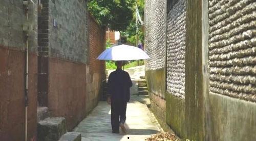 成都花园吃瓜事件视频完整版,一场引发热议的社区冲突全纪录