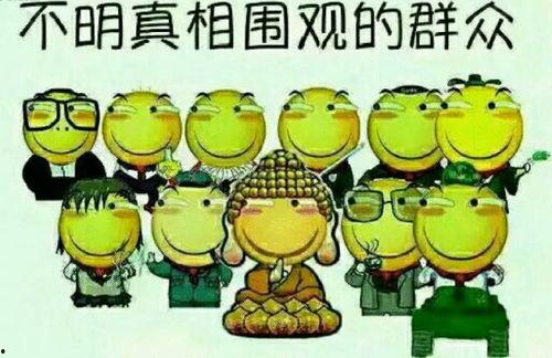 吃瓜群众接龙视频大全