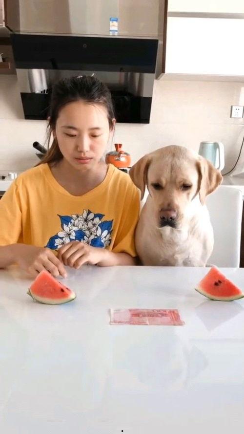 西瓜视频吃瓜大嘴
