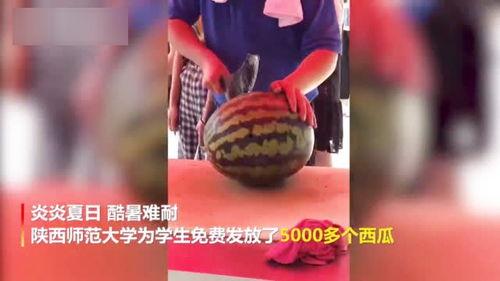 大二大三吃瓜视频,吃瓜视频里的青春百态