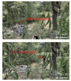 公园怎么吃瓜视频,跟随视频解锁清凉一夏