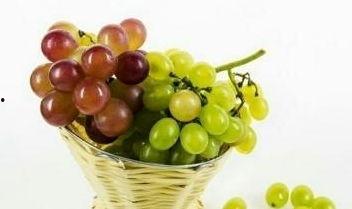 小孩吃乳瓜有哪些好处,宝宝健康成长的小秘密