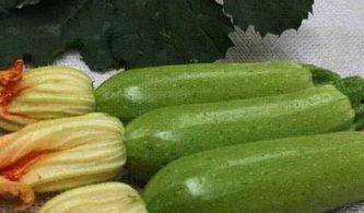 占瓜可以怎么吃,解锁夏日瓜果新吃法