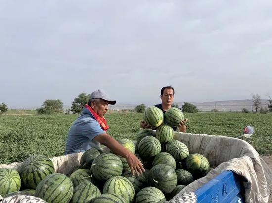 东坝吃瓜,揭秘当地特色美食背后的故事
