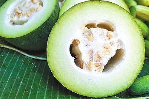 东坝吃瓜,揭秘当地特色美食背后的故事