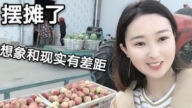 明星西瓜地里吃瓜,西瓜地里共享欢乐时光