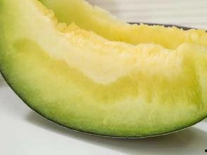 小孩吃冰糖蜜瓜