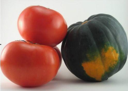 番茄吃瓜视频,一场别开生面的美食盛宴