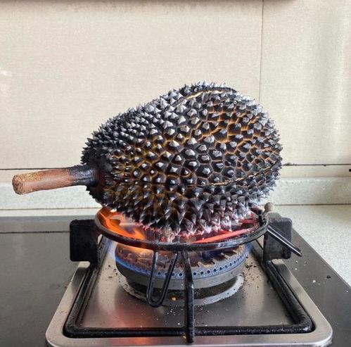 带你吃瓜奇葩花瓶,带你领略“带你吃瓜”奇葩花瓶的独特魅力