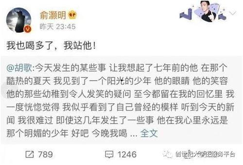 吃瓜大赛感言,欢乐盛宴中的趣味与思考