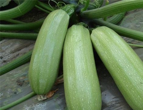 西八吃瓜,揭秘娱乐圈背后的那些事儿