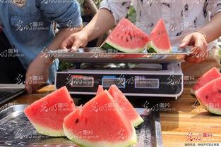 山东最新吃瓜爆料,揭秘神秘事件背后的真相