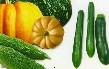 夜景吃瓜,揭秘都市夜景中的美食诱惑