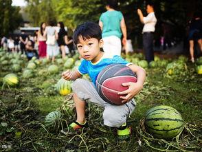 夜景吃瓜,揭秘都市夜景中的美食诱惑