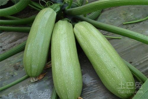 玉瓜可以过年吃吗农村,农村过年必吃的吉祥食材