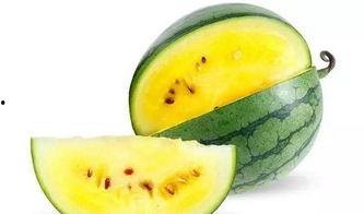 瓜瓜吃瓜音乐大全,盘点热门歌曲，尽享音乐盛宴