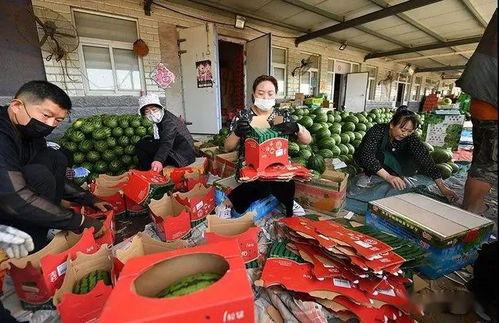 武进吃瓜群众,揭秘当地生活百态