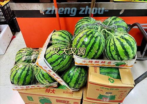 郑州漫展2024吃瓜,吃瓜群众狂欢盛宴