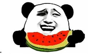 吃瓜小阿姨神器下载,下载体验与功能解析