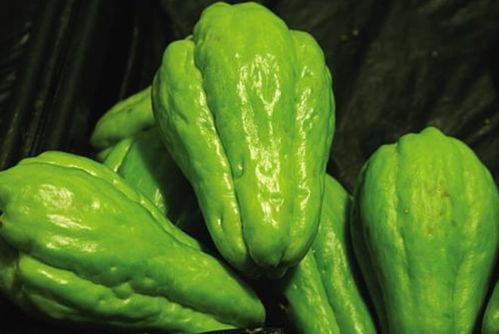 吃十月瓜,品味丰收的甘甜