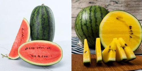 吃瓜不吃瓜是谁,网络热词背后的文化现象