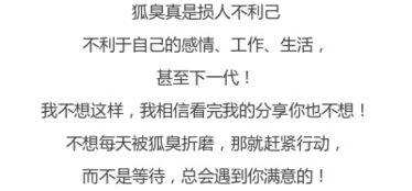 吃瓜系统听声心声,倾听心声，解码人间烟火