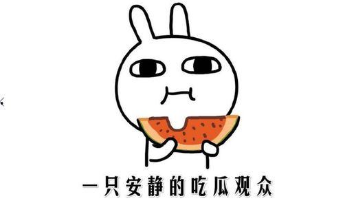 吃瓜被抓什么意思