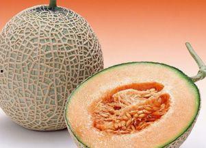 金龟吃哈密瓜,一场甜蜜的邂逅