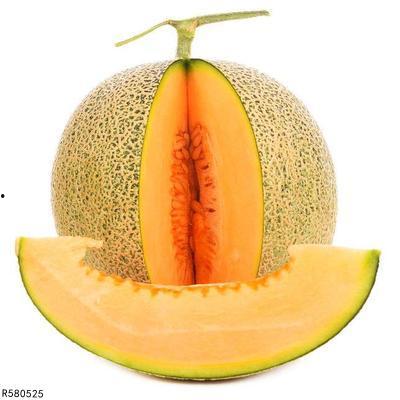 金龟吃哈密瓜,一场甜蜜的邂逅