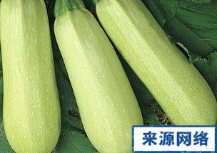 孕妇是否可吃角瓜,角瓜食用安全解析