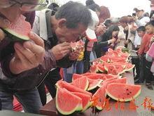 吃瓜互动游戏,吃瓜互动游戏带你体验欢乐时光