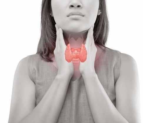 甲状腺结节吃瓜,揭秘瓜果中的健康密码