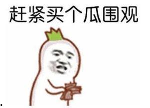 吃瓜群众苏某某