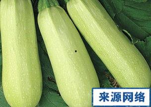 孕期吃角瓜吗,孕期适宜食用角瓜的益处与注意事项