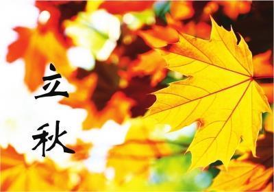 立秋吃瓜文案,瓜果飘香，尽享丰收美味