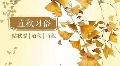 立秋吃瓜文案,瓜果飘香，尽享丰收美味