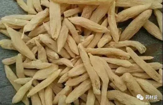 麦冬和爸爸吃瓜,麦冬与爸爸的甜蜜瓜趣时光