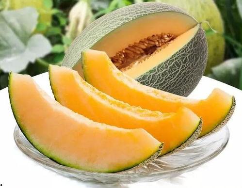 瓜州吃瓜买什么,精选特色瓜果，畅享夏日清凉