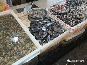 华石镇吃瓜,瓜香四溢，品味夏日田园风情