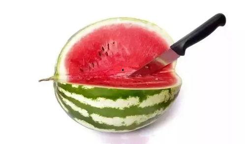 吃各种高端的瓜