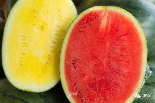 吃各种高端的瓜