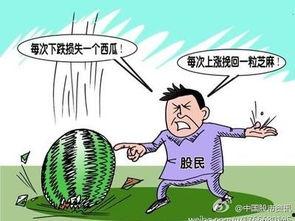 散户吃瓜,揭秘股市中的“瓜田”奇观