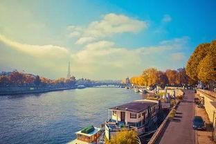 塞纳河吃瓜组,揭秘网红吃瓜背后的故事