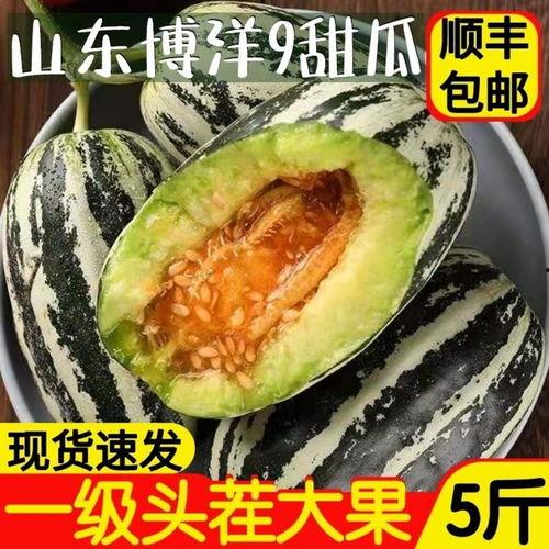 看别人吃小瓜,共享美味时光