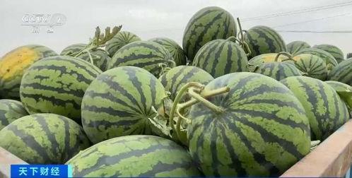 polyu吃瓜,揭秘校园风云背后的真相