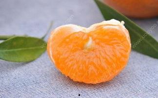 吃瓜的胖橘,笑谈娱乐圈风云