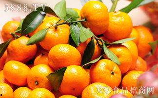 吃瓜的胖橘,笑谈娱乐圈风云