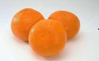 吃瓜的胖橘,笑谈娱乐圈风云