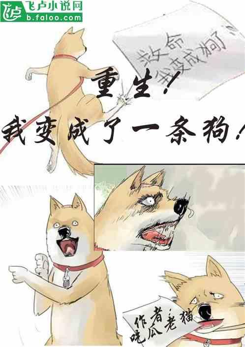 吃瓜爆笑小说,吃瓜群众的爆笑小说盛宴