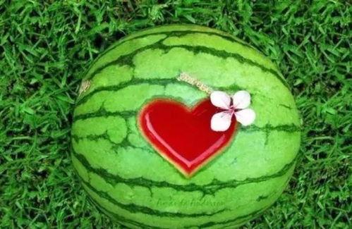 吃瓜就是吃西瓜